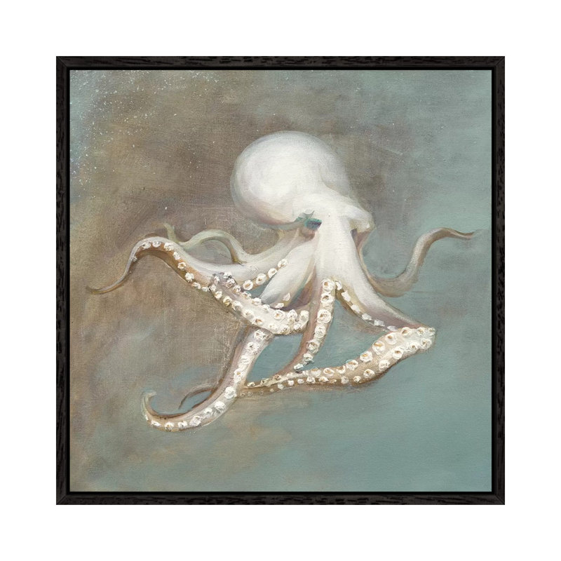 Treasures From The Sea V by Danhui Nai - Print on Canvas, 66.04 cm H x 66.04 cm W, Black Framed