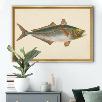 " Donovan Antique Fish III "