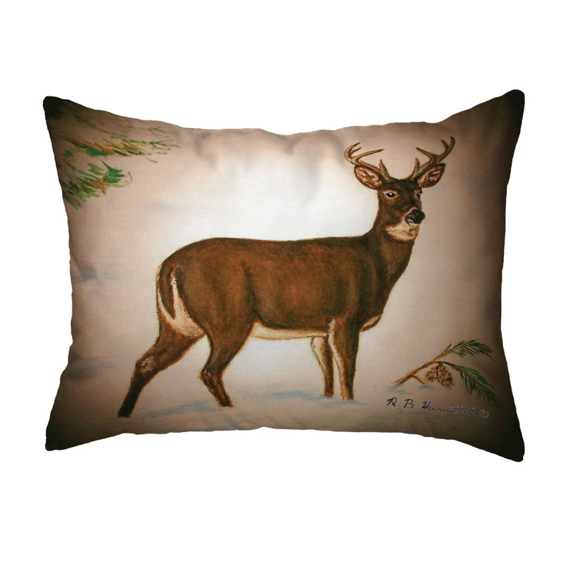  Coussin intérieur / extérieur Buck, 16 po x 20 po