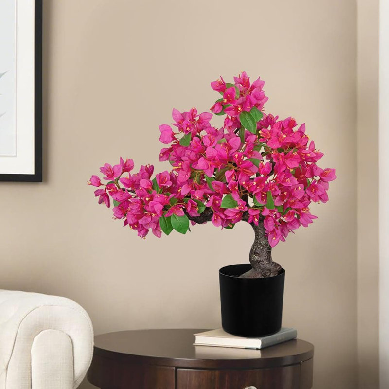 52.83cm Plant