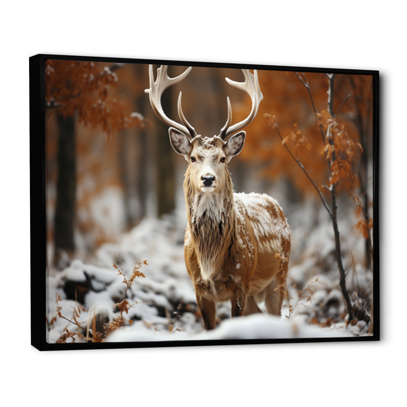 Deer Graceful Deer sur toile, Cadre flottant noir, H 16 po x l 32 po x P 1 po