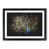 Black Framed