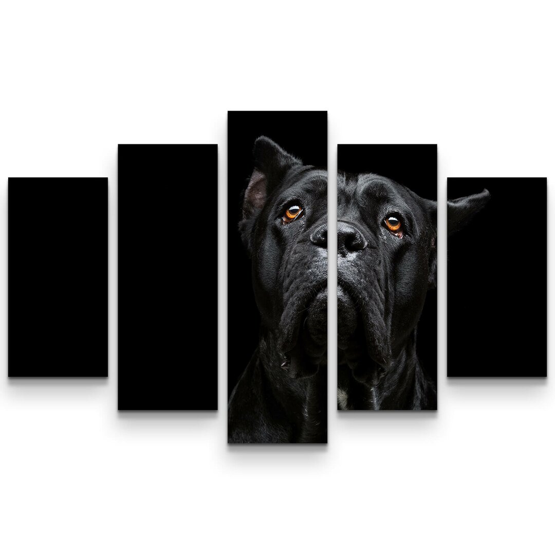 5-tlg. Leinwandbilder-Set Cane Corso Portrait