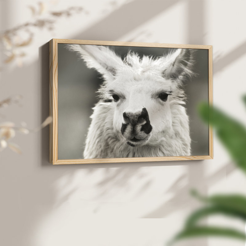 Let's Chat - impression encadrée - réarmable, H 16 po x l 20 po, Naturel