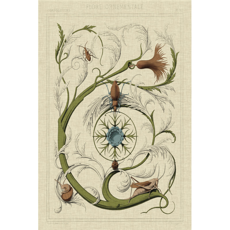 Decorative Flourish III by Vision Studio - Wrapped Canvas Print, 46cm H x 30cm W x 3.8cm D