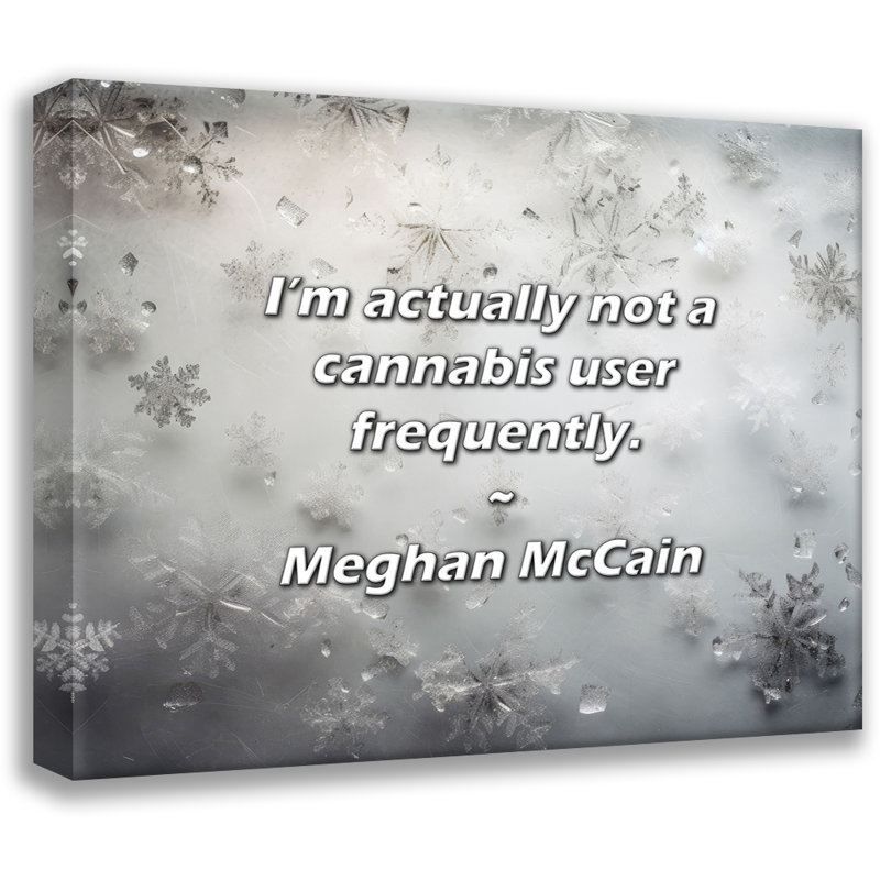 Citation artistique «Je ne suis pas souvent un utilisateur». Toile tendue par Meghan McCain Gallery, H 33 po x l 48 po
