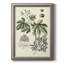 Imperial Foliage I - reproduction d'art sur toile-670453480