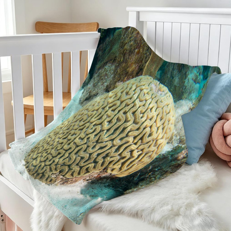 Jeté transparent en flanelle de polaire ultra douce, imprimé abstrait recto Brain Coral Sea, Jeté 30 po x 40 po