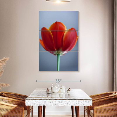 Tulipe rouge Harnek