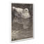 Floating Duck by Theo Van Hoytema - Wrapped Canvas-61877126
