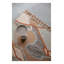 Tapis Saïgon 5 pi x 8 pi