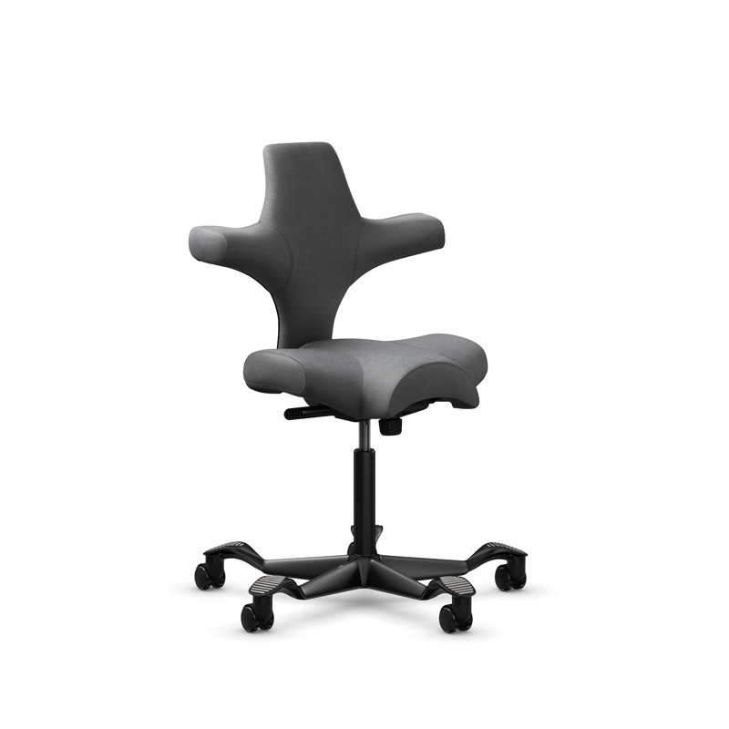  HÅG Capisco Adjustable Sit-to-Stand Height Chair, Black, Gray Dove, Sit-to-Stand