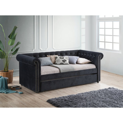 Tolar Daybed with Trundle by Greyleigh