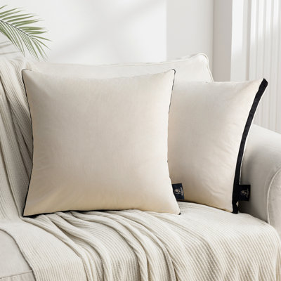 Housse de coussin 18 po en velours 18 po