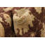 Tapis décoratif en laine de conception unique 3 pi 1 po x 5 pi 3 po noué à la main new age chobi