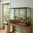 48 in. x 18 in. x 36 in. Glass and Plastic Reptile Terrarium