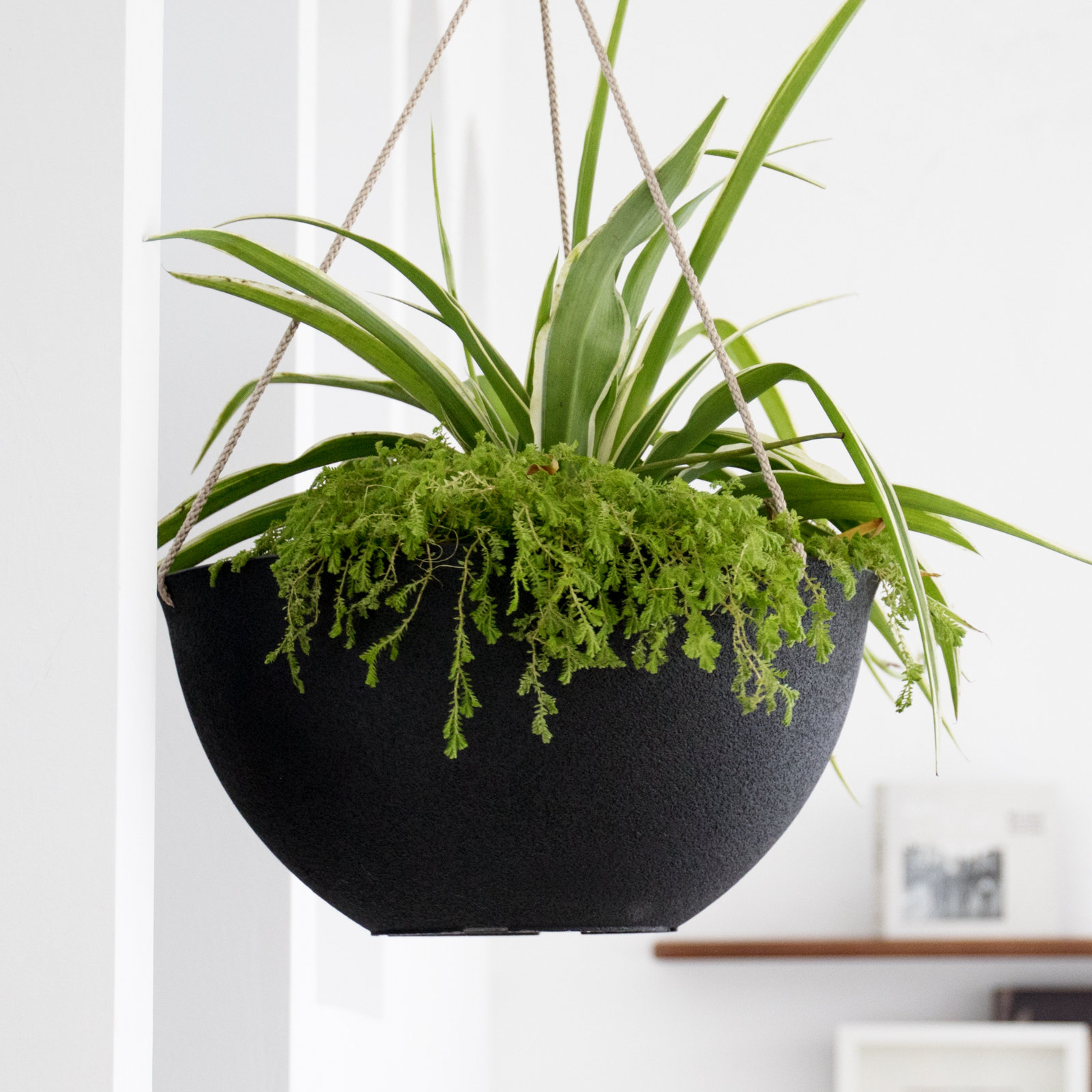 Boxdale Hanging Planter - Set of 2, Black, 6.3" H x 13.2" W x 13.2" D