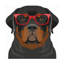 «Fottaby Affiliates», art rottweiler portant des lunettes de hipster 1-1321965613
