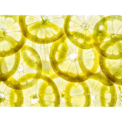 Lemon Slices Print by Harold Davis