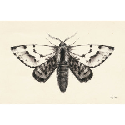 Moth IV - peinture sur toile tendue