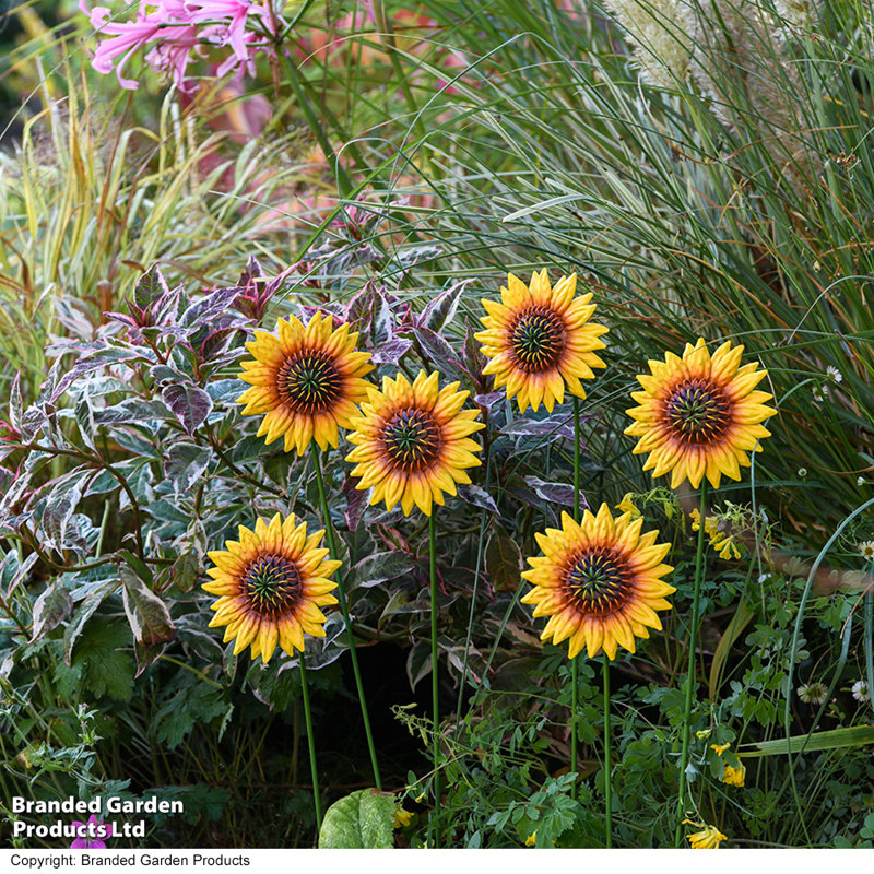 Chaparro Weather Resistant Metal Decoration