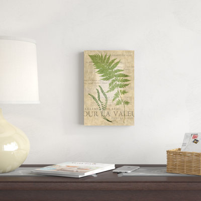 " Fern Folio II " by Vision Studio Painting Print