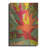 " Bromeliad " by Megan Gallagher-750166187