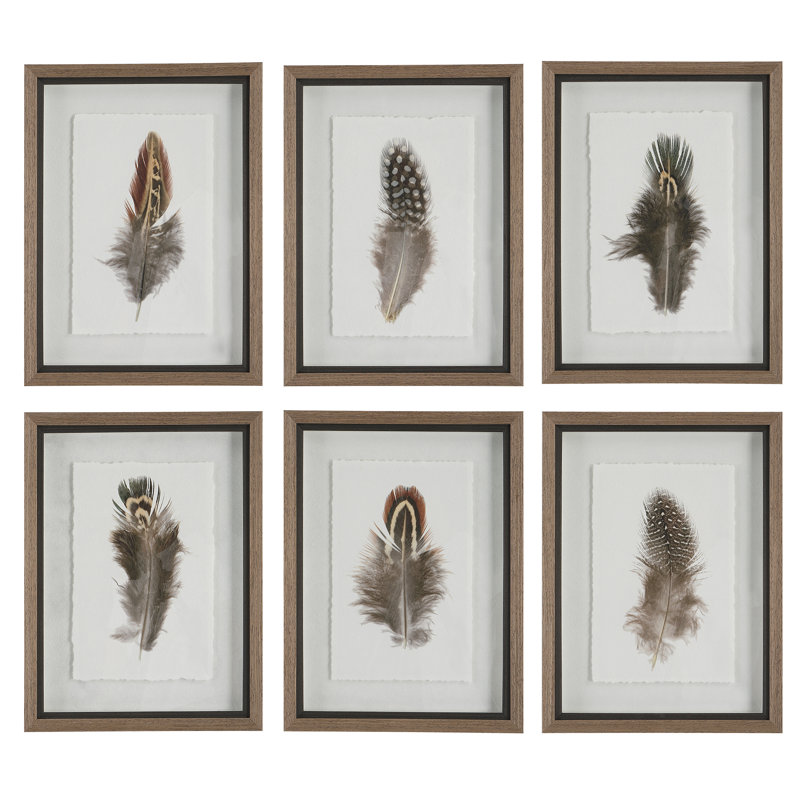 Birds of a Feather - Ensemble de 6 cadres photo