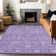 Machine Washable Indoor/Outdoor Segin ACN1133 Plum Rug