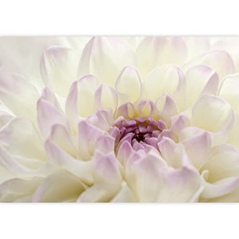 Floral Petal Closeup Peel & Stick Vinyl Floral, 66" L x 96" W