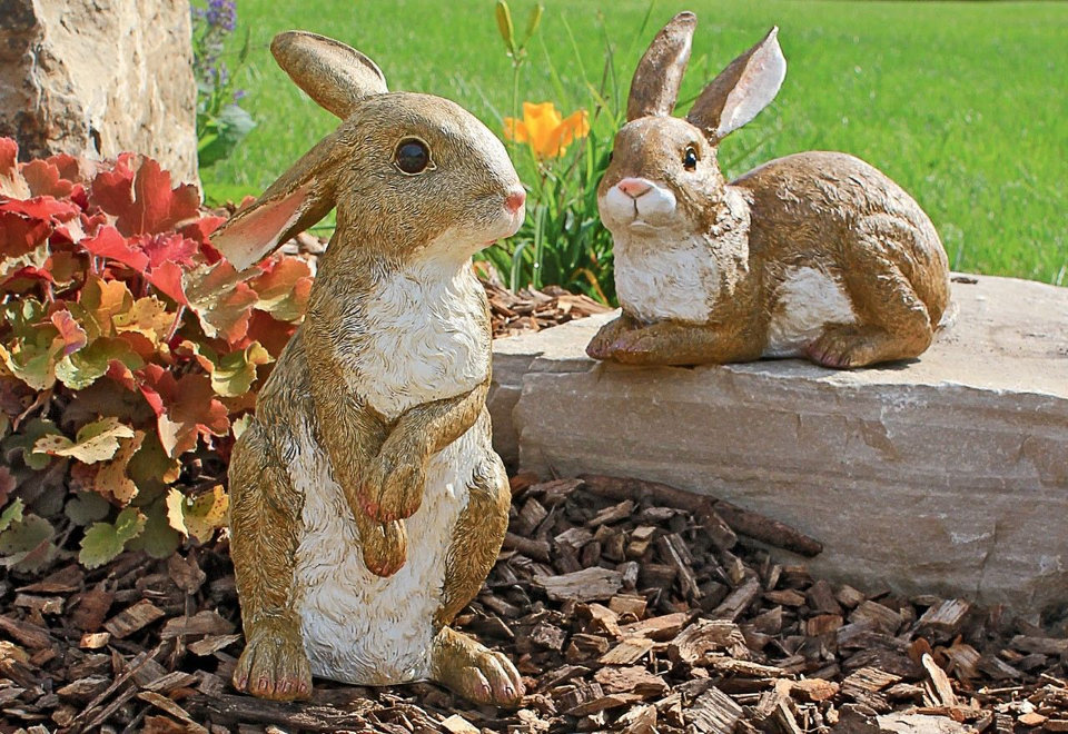 Bring Your Backyard to Life