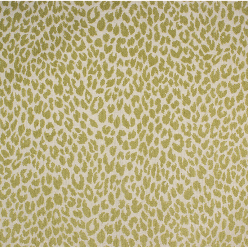 Shenzi Fabric, Kiwi