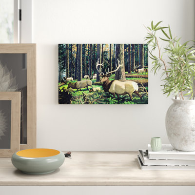 Wrapped Canvas Print