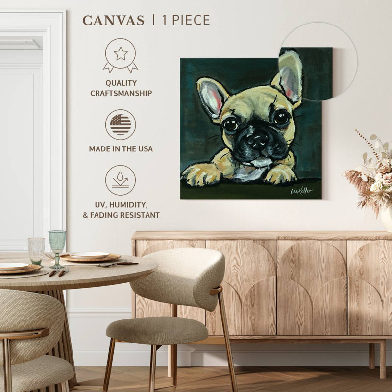 Crowle Frenchie Pup, H 16 po x l 16 po