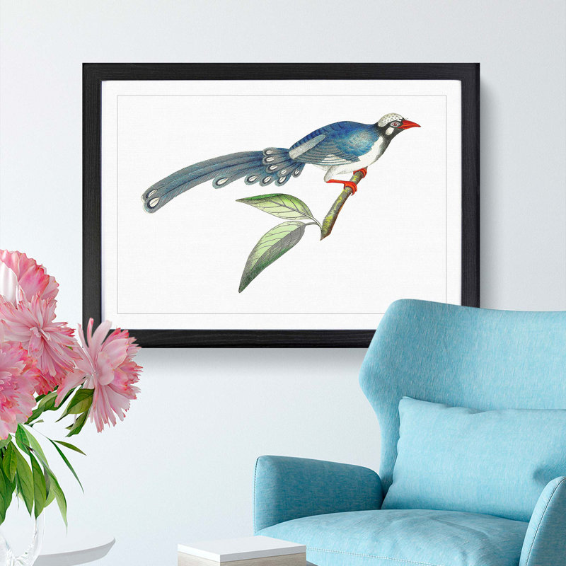 Chinese Cuckoo by George Shaw - Picture Frame Painting Print, 36cm H x 48cm W x 2cm D, Black Framed