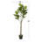 63'' Faux Fiddle Leaf Tree in Pot