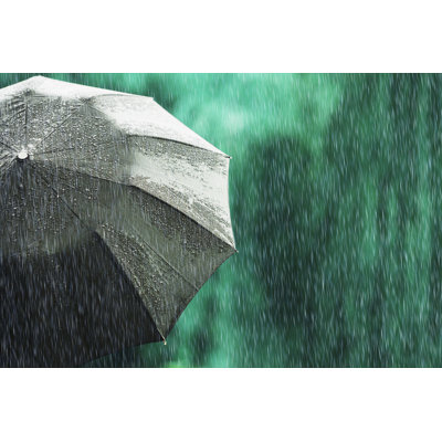 Black Umbrella - Photographie sur toile tendue