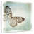 Brampt Floating Butterfly I-109369239