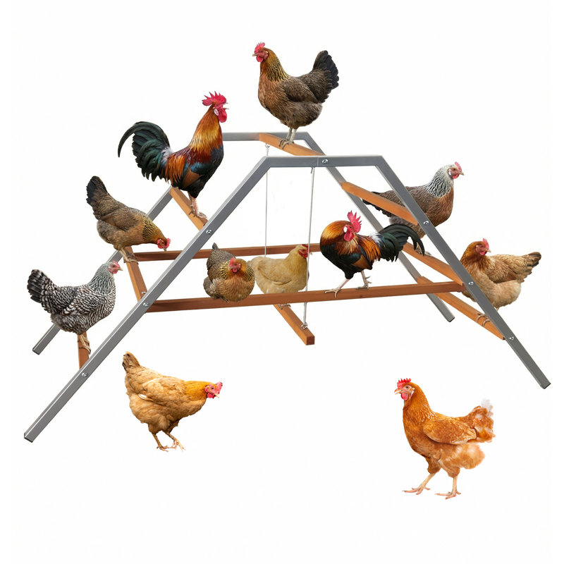 Chicken Climbing Frame