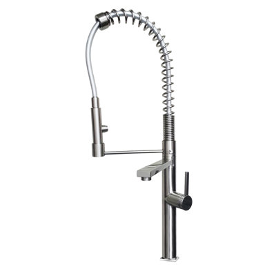 Ancona Pull Down Kitchen Faucet