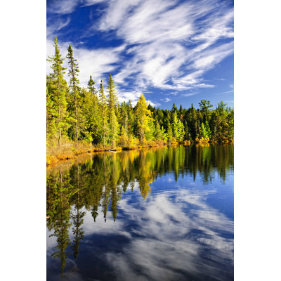 " Forest And Lake "