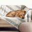 Jeté pour animaux Cozy-99071196