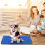 Tapis de refroidissement pour chien et chat-349291390