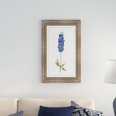" Bluebonnet I "