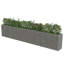 Raised Garden Bed-1912649320