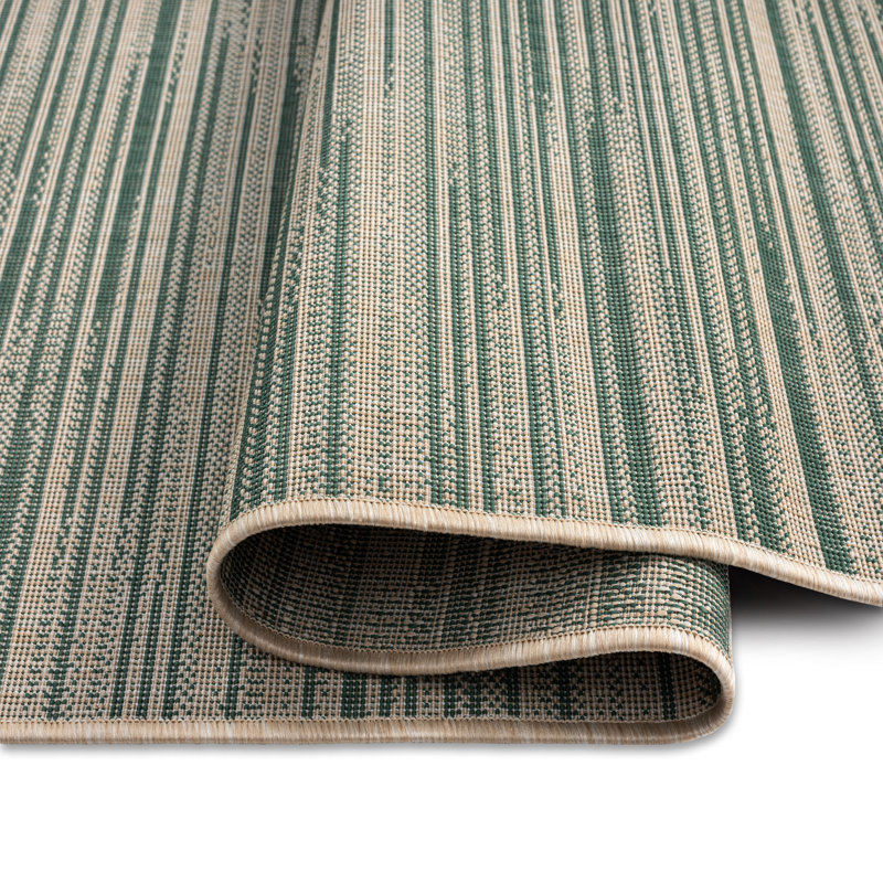 Tapis intérieur / extérieur vert / beige Nicole Wynona, Rectangle 5 pi 2 po x 7 pi 2 po