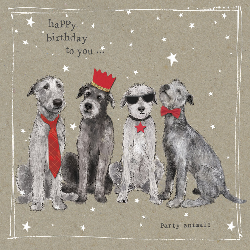 Fancypants Cool Dogs IV, H 20 po x l 20 po x P 1,25 po