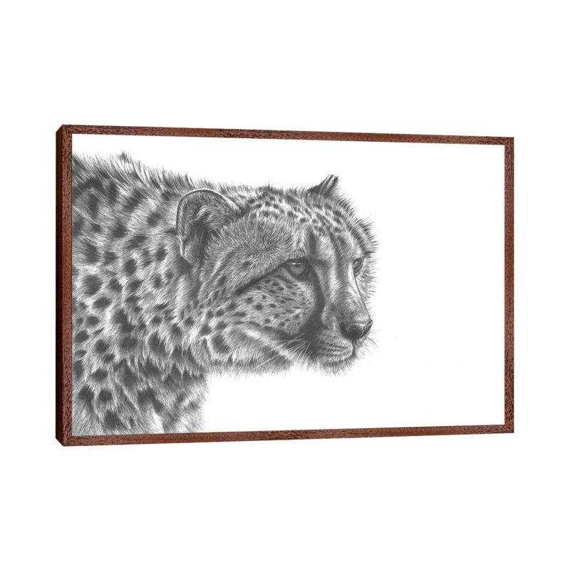 Cheetah Drawing by Richard Macwee - Gallery-Wrapped Canvas Giclée on Canvas, Classic Wood Framed, 101.6 cm H x 66.04 cm W