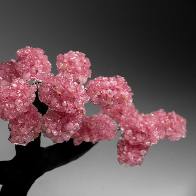 Custom - Genuine Rose Quartz Clustered Gemstone Tree On Agate Geode Matrix (The Love Tree)