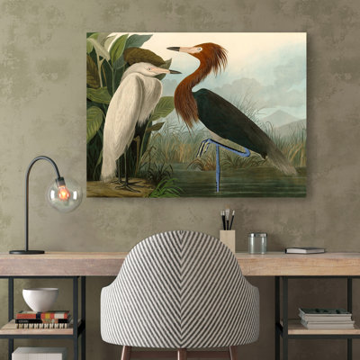 Purple Heron by John Audubon - No Frame Painting on Canvas